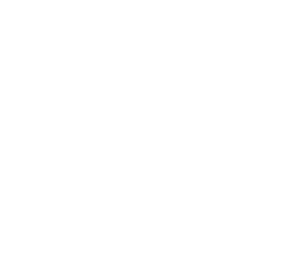 青田縣精鑄閥門(mén)有限公司 （官方網(wǎng)站）主要生產(chǎn)高鎳球墨鑄鐵、汽車(chē)配件D5S、D2螺母